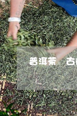 普洱茶 古陌/2023042748606